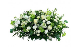 Флоретки